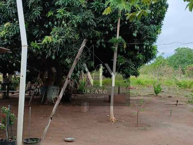 Chácara para Venda em Nossa Senhora do Livramento - 5