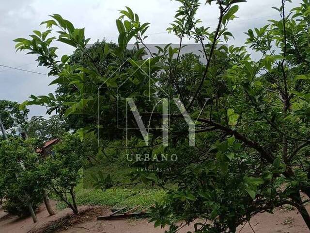 Chácara para Venda em Nossa Senhora do Livramento - 4
