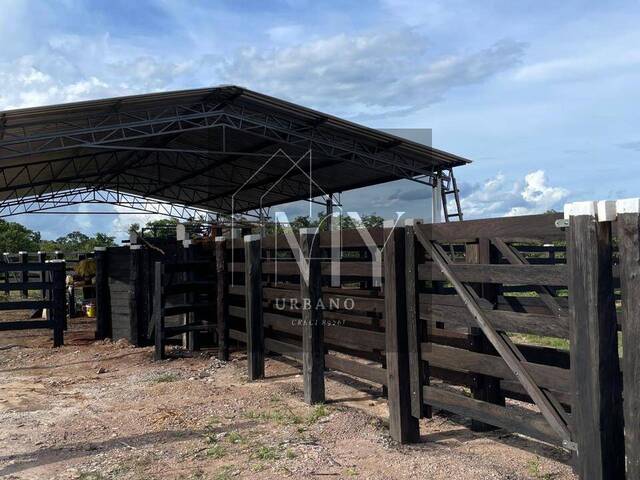 #MARCELORF3 - Chácara para Venda em Cáceres - MT