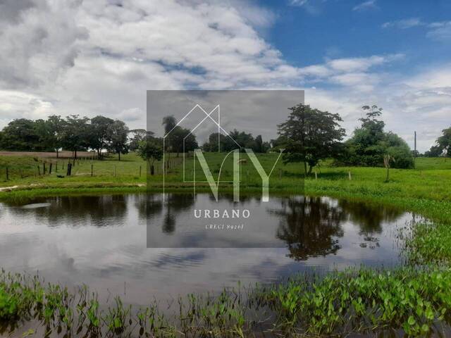 #NEURI RF38 - Chácara para Venda em Poconé - MT