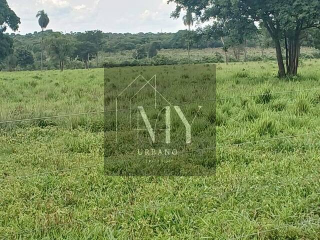 #NEURI RF38 - Chácara para Venda em Nossa Senhora do Livramento - MT