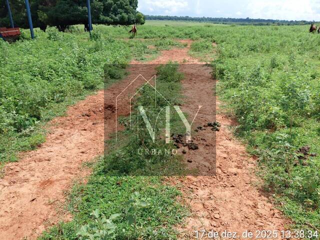 Chácara para Venda em São José do Xingu - 5