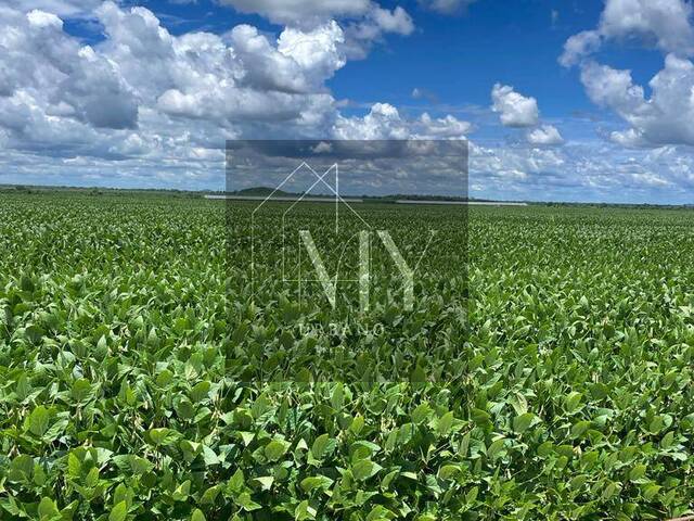 #LIA3855 - Chácara para Venda em Cuiabá - MT