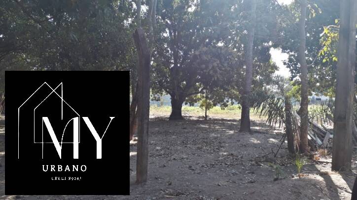 Terreno à venda, 8000m² - Foto 5