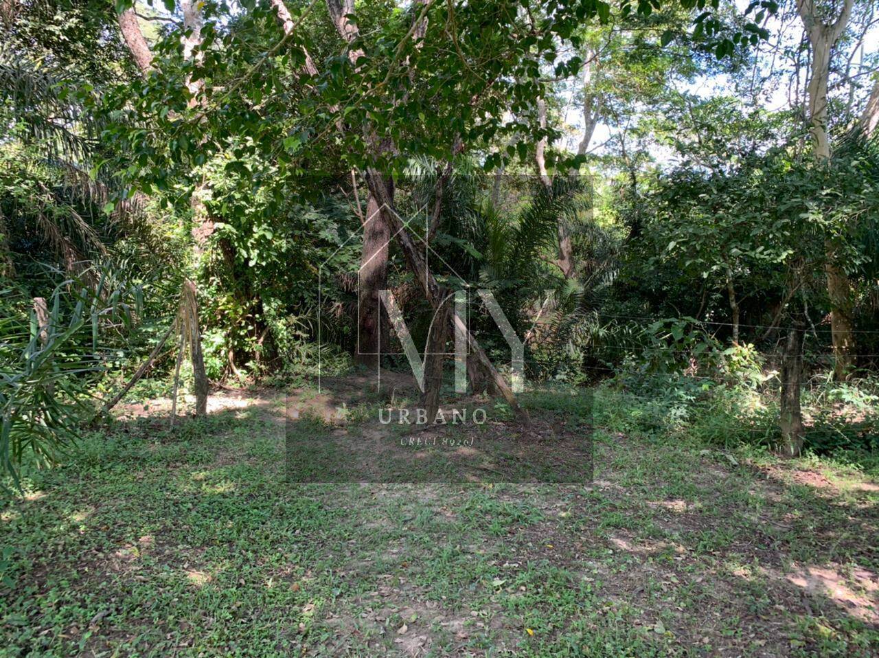 Sítio, 4 quartos, 48 m² - Foto 9