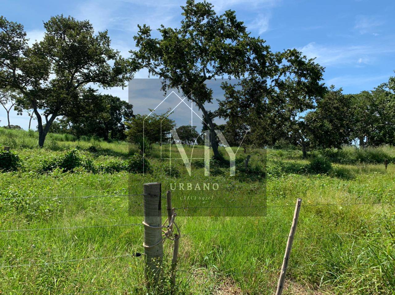 Sítio, 4 quartos, 48 m² - Foto 10