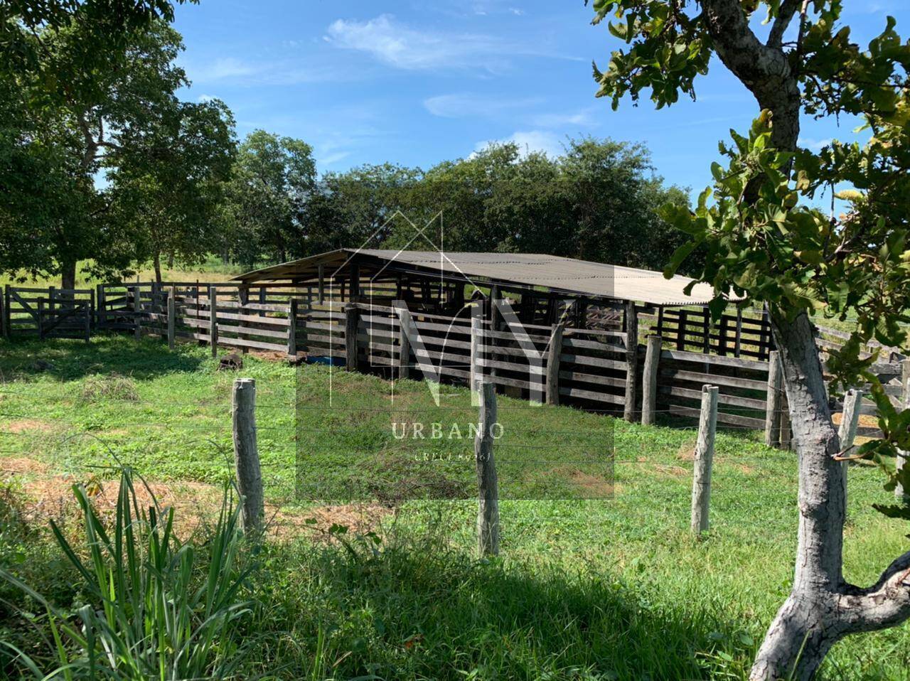 Sítio, 4 quartos, 48 m² - Foto 8