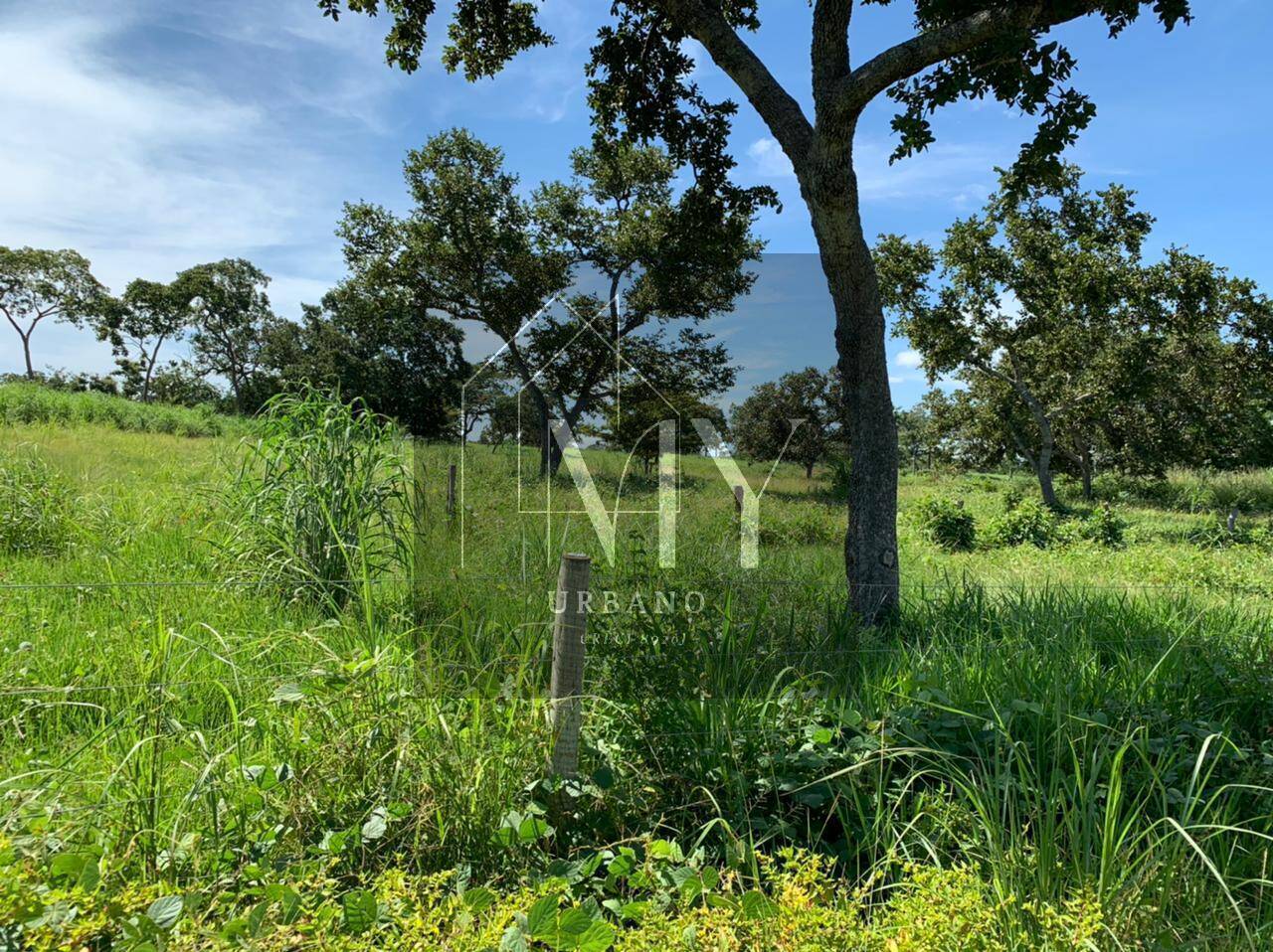 Sítio, 4 quartos, 48 m² - Foto 1