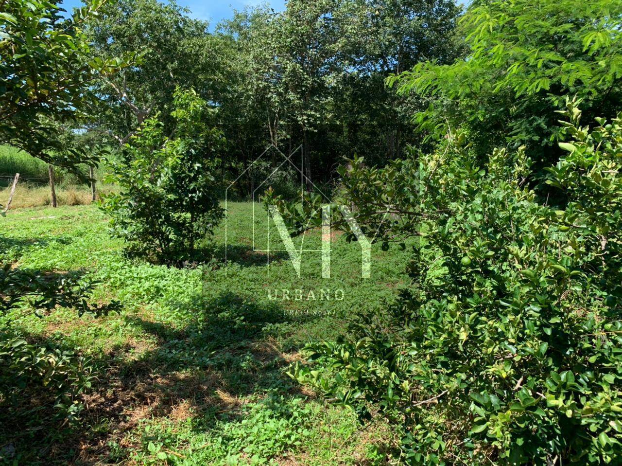 Sítio, 4 quartos, 48 m² - Foto 17