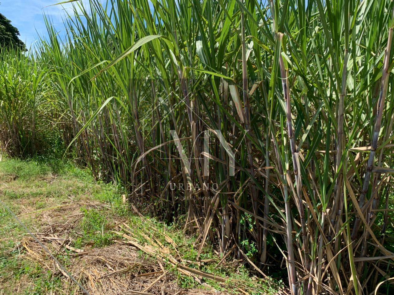 Sítio, 4 quartos, 48 m² - Foto 18