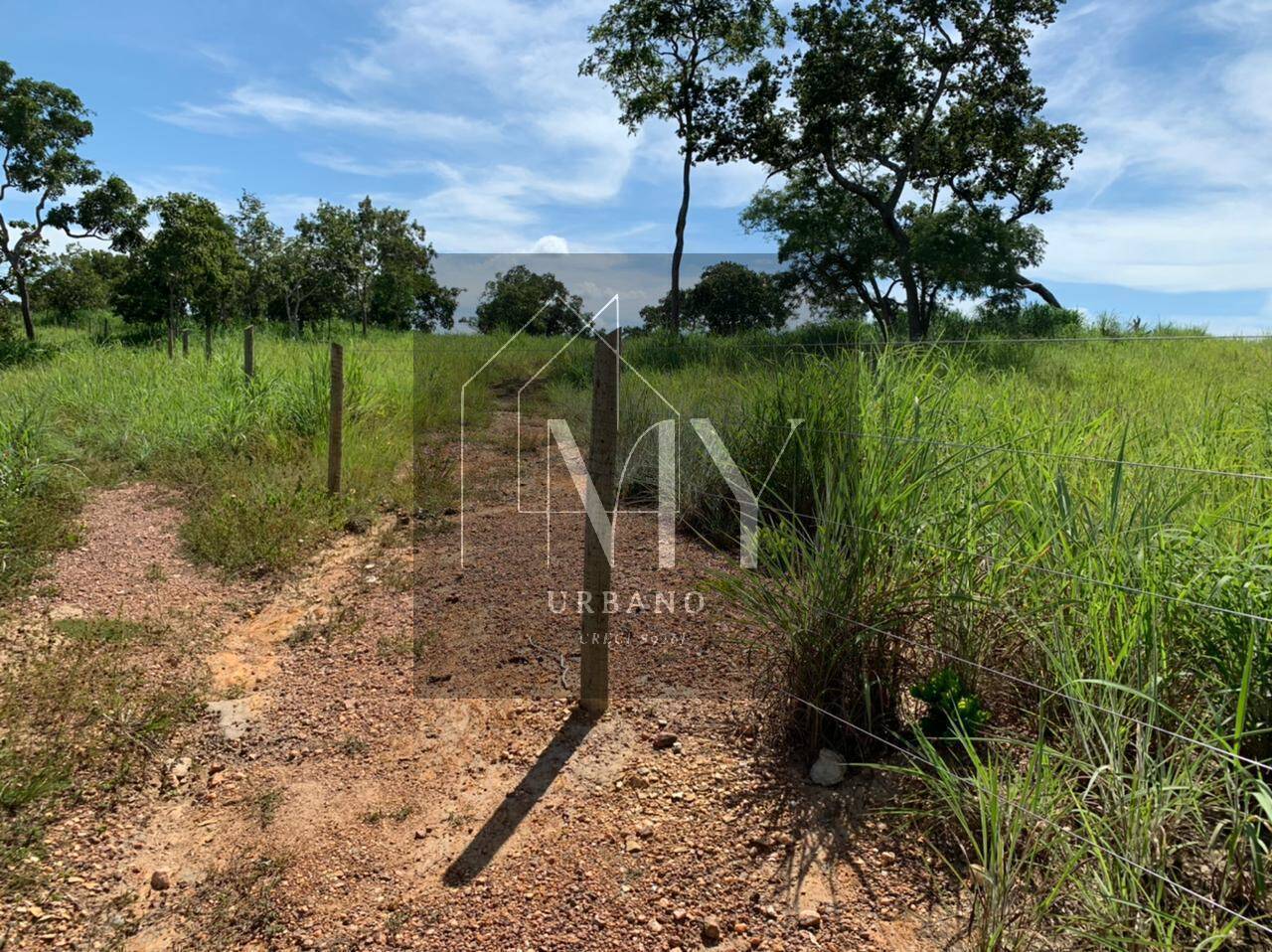 Sítio, 4 quartos, 48 m² - Foto 4