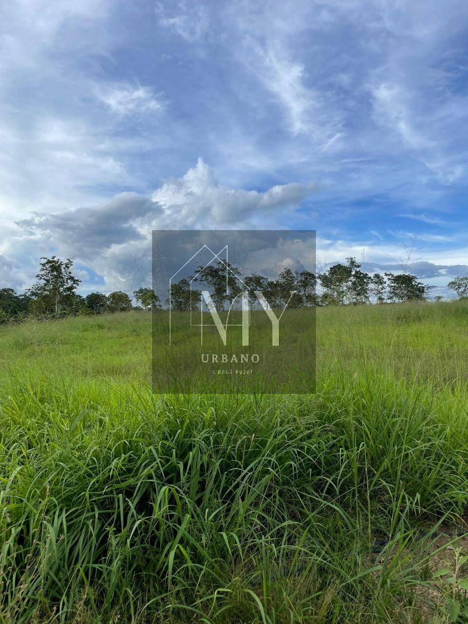 Terreno, 212 m² - Foto 19